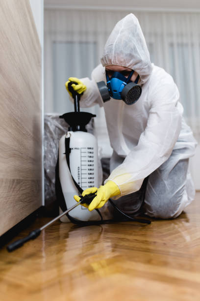 Professional Pest Control in Saint John Fisher College, NY